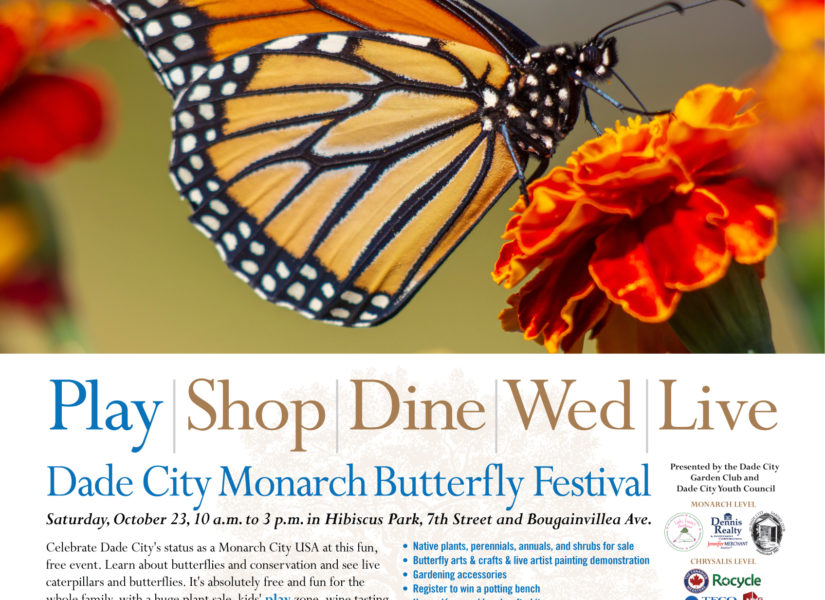 Monarch butterfly on flower, Dade City Festival flyer.