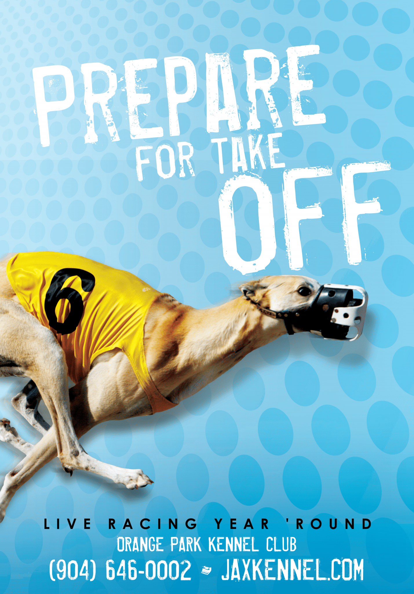 Greyhound racing advertisement, Orange Park Kennel Club.